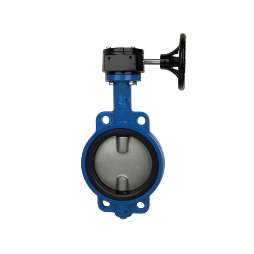 Butterfly Valve